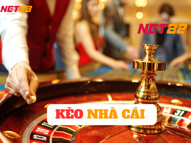 Tại Sao Nên Chọn Net88?